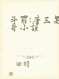 斗罗:唐三是我哥小说封面