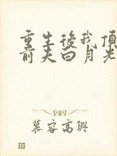 重生后我顶替了前夫白月光原著作者