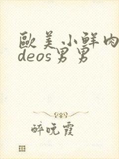 欧美小鲜肉videos男男