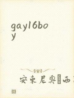 gay16boy