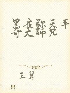 黑夜弥天平平无奇大师兄封面