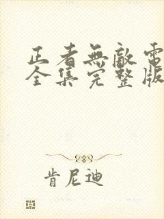 正者无敌电视剧全集完整版免费观看封面