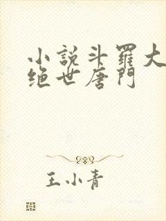 小说斗罗大陆2绝世唐门封面