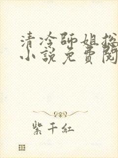 清冷师姐总撩我小说免费阅读