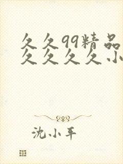 久久99精品久久久久久小说