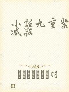 小说九重紫未删减版
