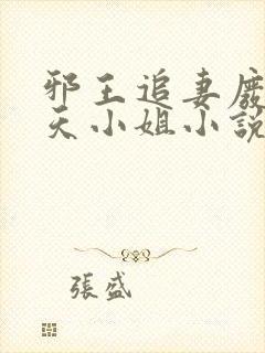 邪王追妻废材逆天小姐小说