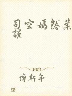 司空嫣然叶凡小说