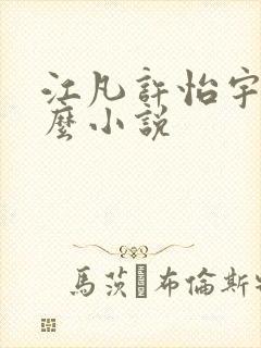 江凡许怡宇是什么小说