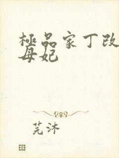 极品家丁改编之母妃封面