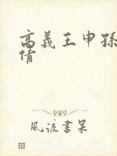 高义王申孙敏孙倩封面