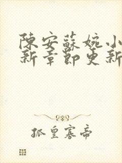 陈安苏婉小说最新章节更新内容