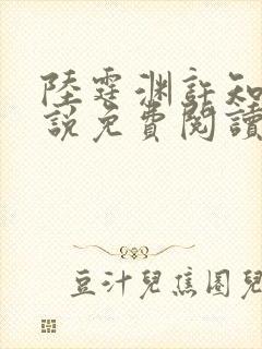 陆霆渊许知夏小说免费阅读最新章节封面