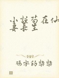 小说苟在仙武娶妻长生封面