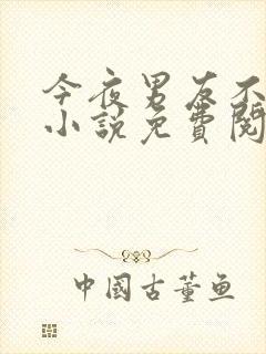 今夜男友不在家小说免费阅读