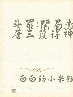 斗罗:开局怼哭唐三获得神级武魂