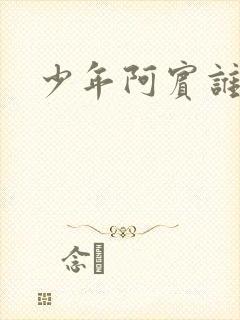 少年阿宾谁写的