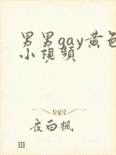 男男gay黄色小视频