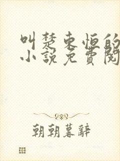 叫楚东恒的官场小说免费阅读