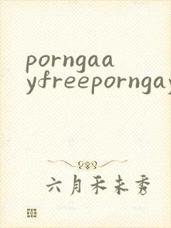 porngaayfreeporngayvideosboy封面