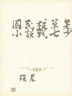 国民校草是女生小说战七少