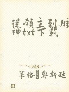 从领主到维度魔神txt下载