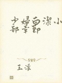 少妇白洁小说全部章节