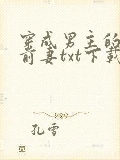 穿成男主的炮灰前妻txt下载