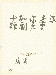 少帅你老婆又跑短剧免费