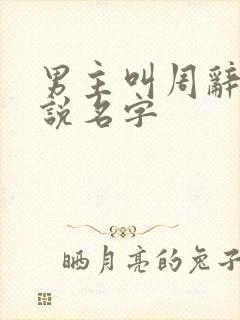 男主叫周辞的小说名字