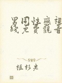 男同性恋视频在线免费观看