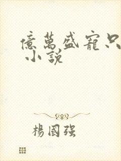 亿万盛宠只为你 小说