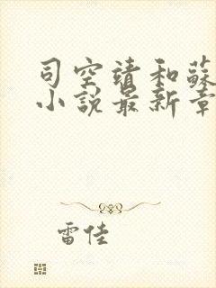 司空靖和苏月汐小说最新章节