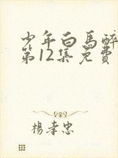 少年白马醉春风第12集免费观看封面