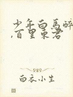 少年白马醉春风,百里东君