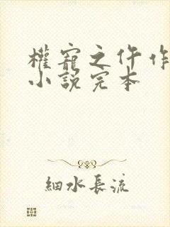 权宠之仵作医妃小说完本