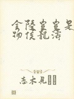 金陵岂岂是池中物侯龙涛