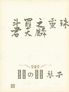 斗罗之灵珠神剑君天麟