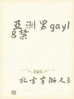 亚洲男gay18禁