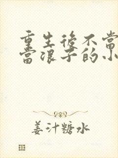 重生后不当好人当浪子的小说