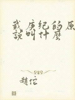 武庚纪的原著小说叫什么封面