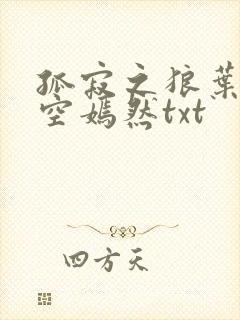 孤寂之狼叶凡司空嫣然txt封面