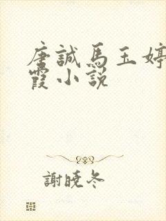 唐诚马玉婷杨美霞小说封面