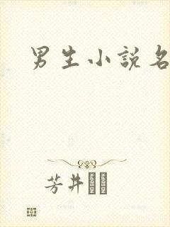 男生小说名字封面