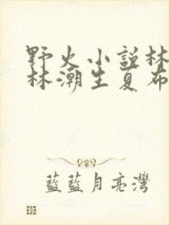野火小说林晚晚林潮生夏布多昂封面