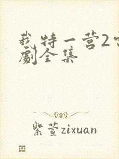 我特一营2电视剧全集