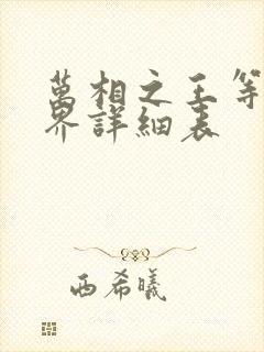 万相之王等级境界详细表