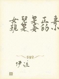 女儿是正妻,母亲是妾的小说推荐