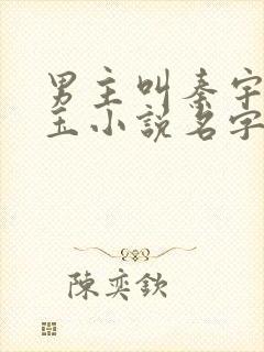 男主叫秦宇颜明玉小说名字