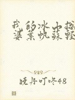 我的冰山总裁老婆叶帆苏轻雪最新封面